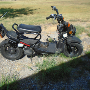 Honda 2014 Ruckus